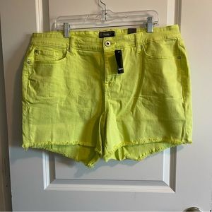 Torrid Lime Mid Rise Midi Short, 20 NWT
